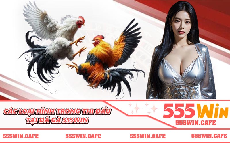 Các loại hình trong thi đấu tại đá gà 555WIN